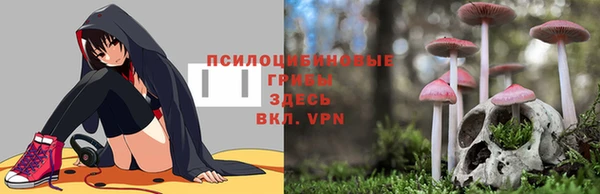 шишки Абинск