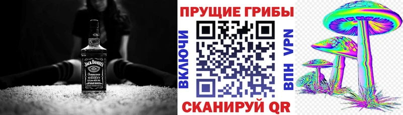 Псилоцибиновые грибы Cubensis  Абаза 